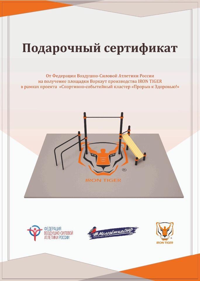 Федерация воздушно-силовой атлетики России подарила спортплощадку «Молодежке ОНФ»